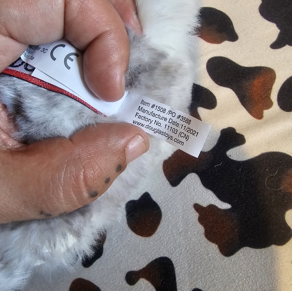 Douglas Grey Rabbit - Picture 5 of 5